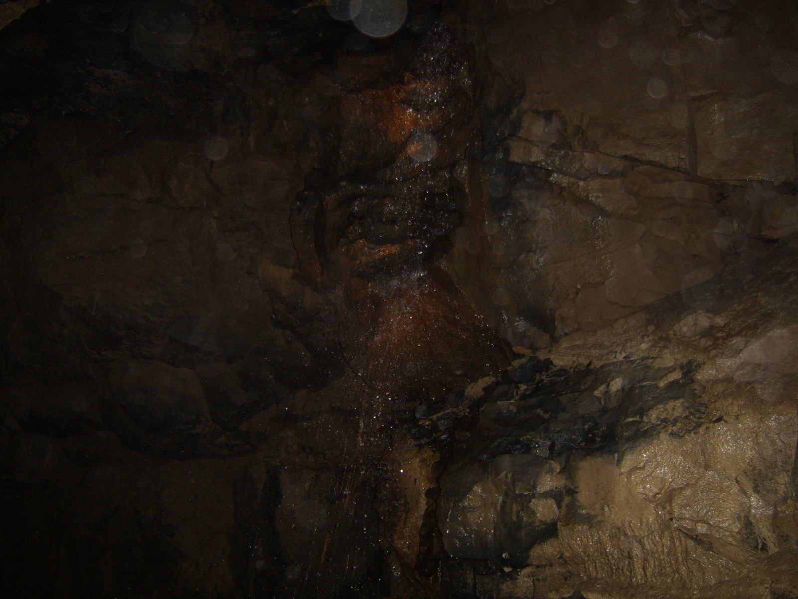 sta71819.jpg, 1600x1200, 477 Kb