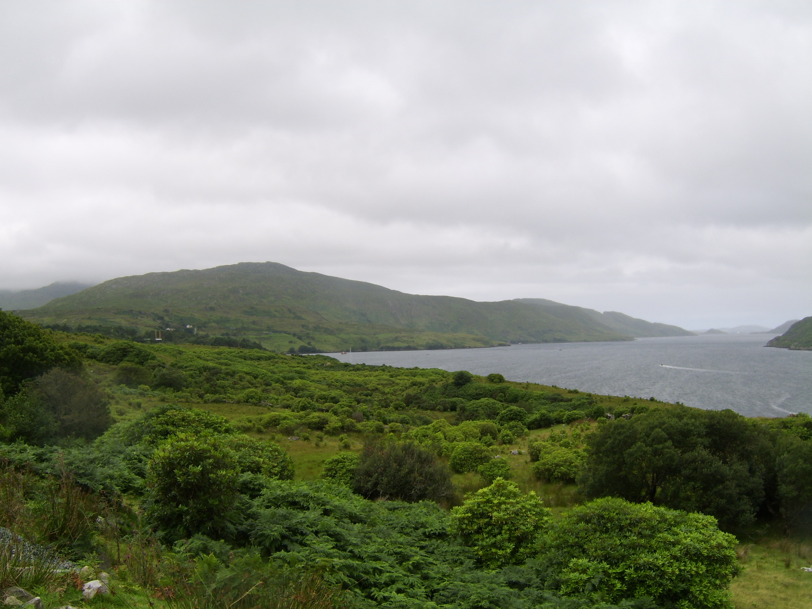 sta71897.jpg, 1600x1200, 491 Kb