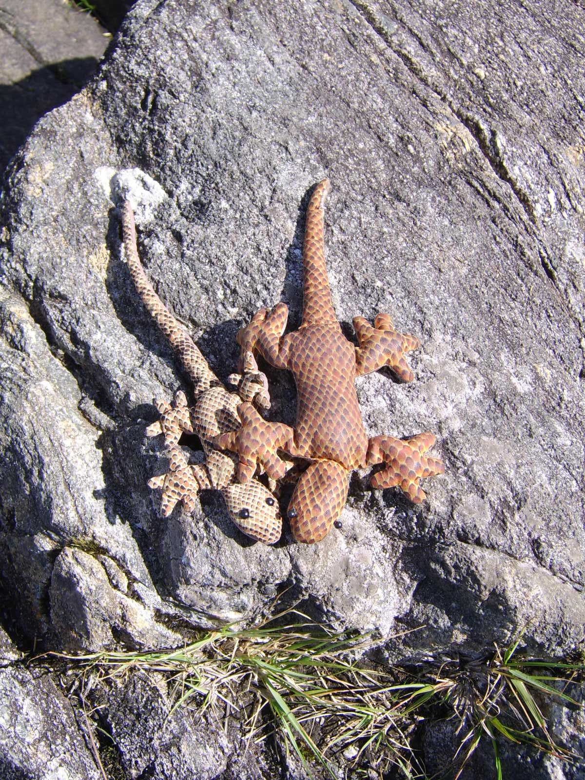 sta71991.jpg, 1200x1600, 424 Kb