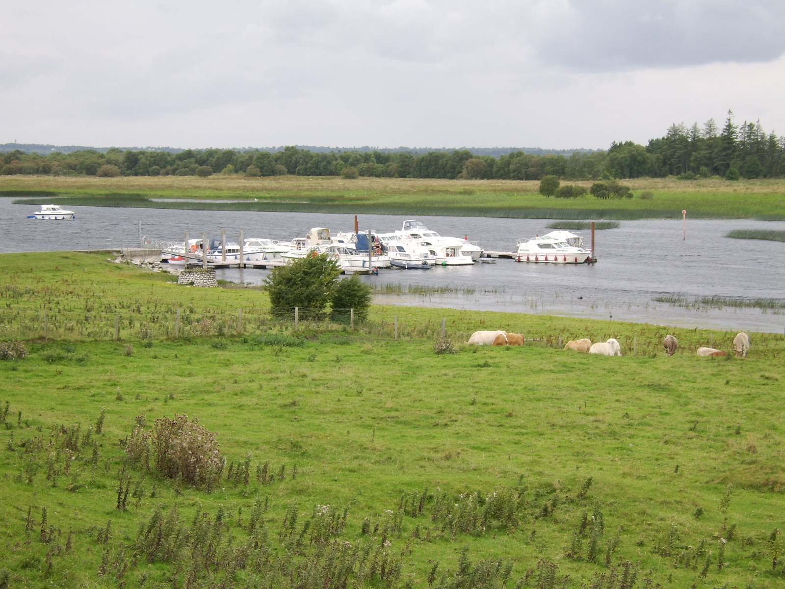 sta72344.jpg, 1600x1200, 486 Kb