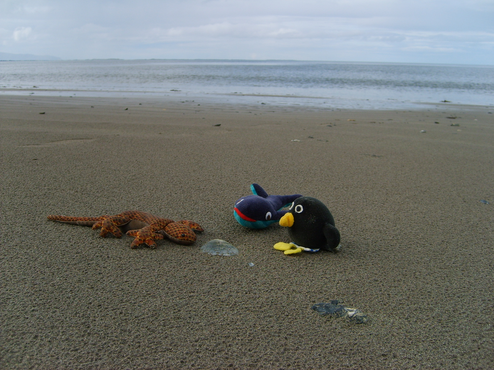 s5000560.jpg, 1600x1200, 1004 Kb