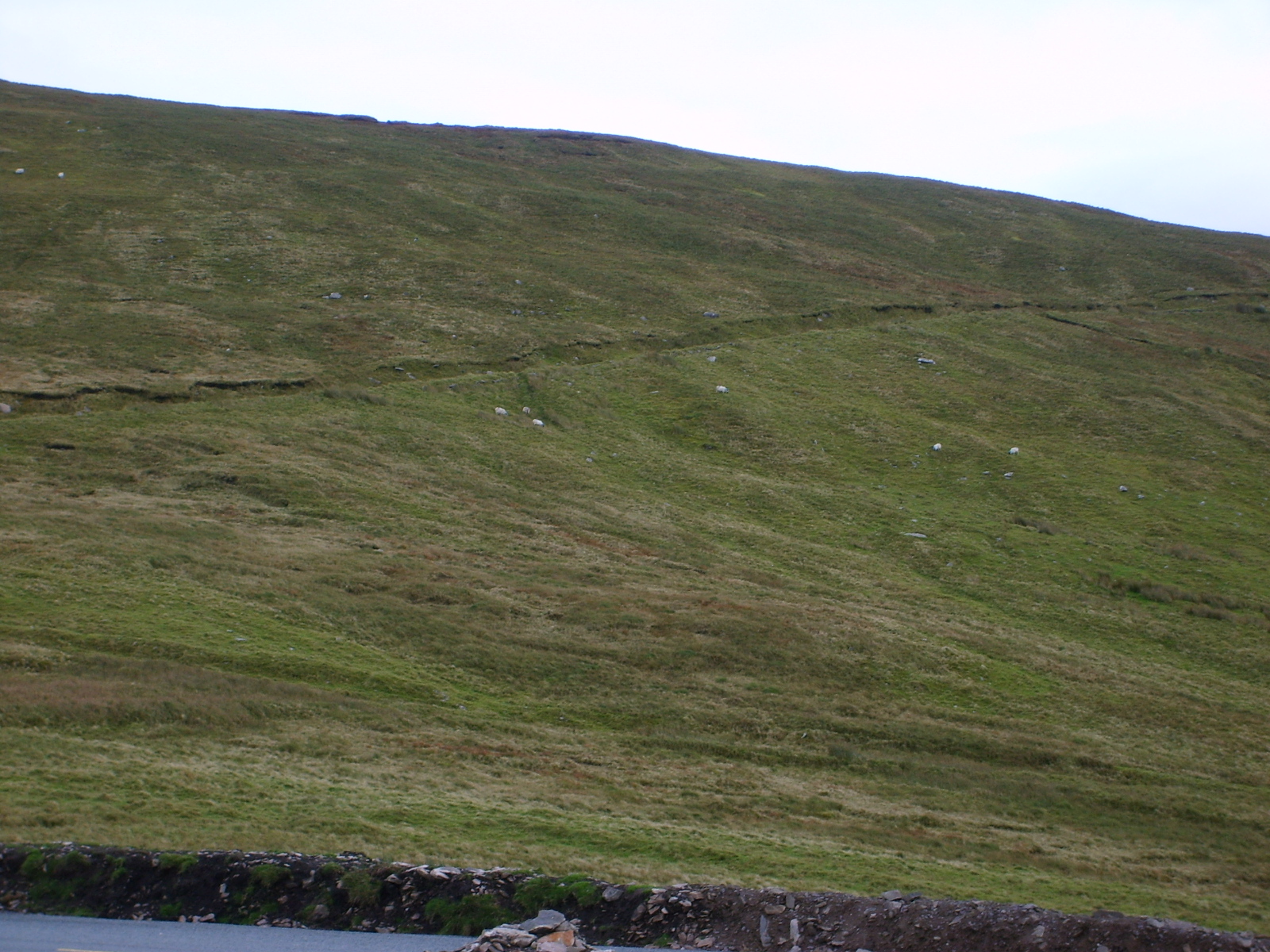 s5000644.jpg, 1600x1200, 989 Kb