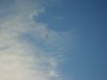 s5000893.jpg, 2592x1944, 2309 Kb