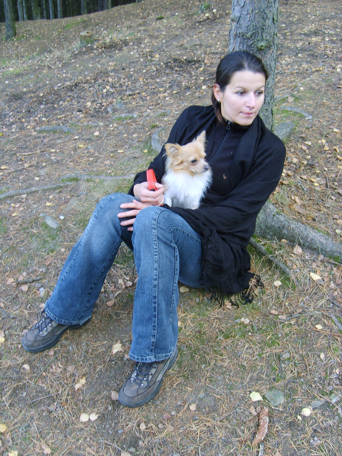 s5001067.jpg, 1200x1600, 935 Kb